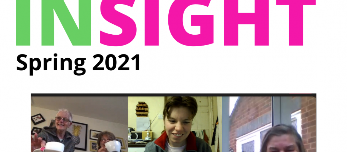 The cover of Berkshire Vision Magazine Insight. Issue Spring 2021