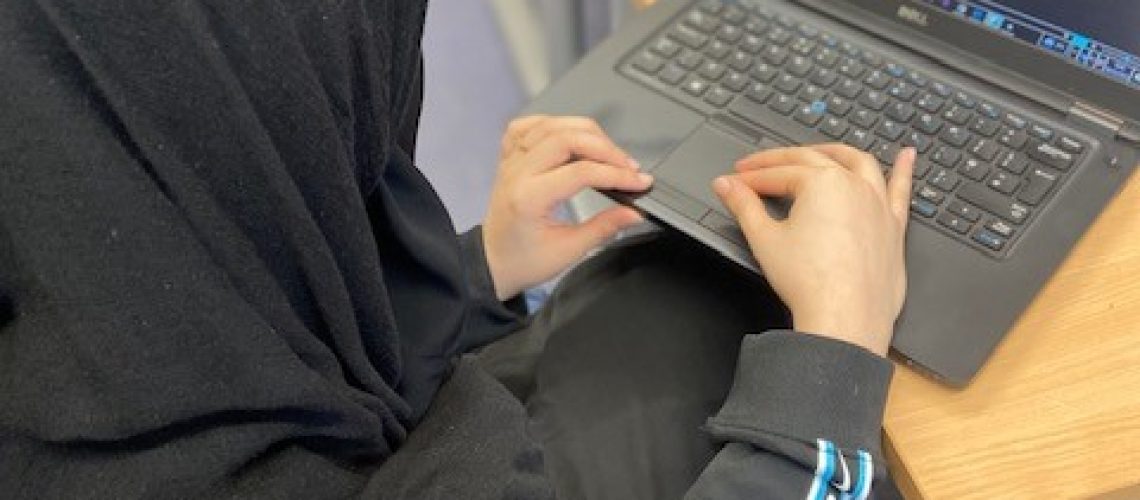 Mini is sat at a desk typing on a computer